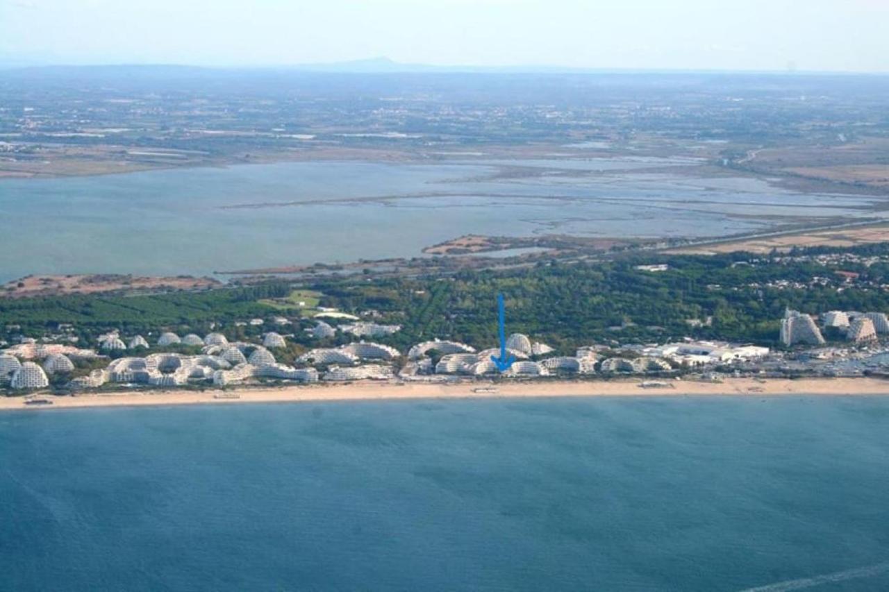 Le Soupir Des Palmiers. Ideal Couple, Piscine, Mer La Grande Motte Exteriör bild